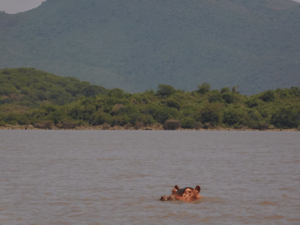 Lake Chamo3 1024x768